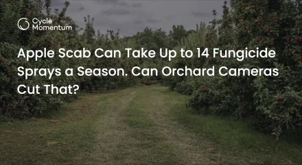 Apple Scab Can Take Up to 14 Fungicide Sprays a Season. Can Orchard Cameras Cut That?