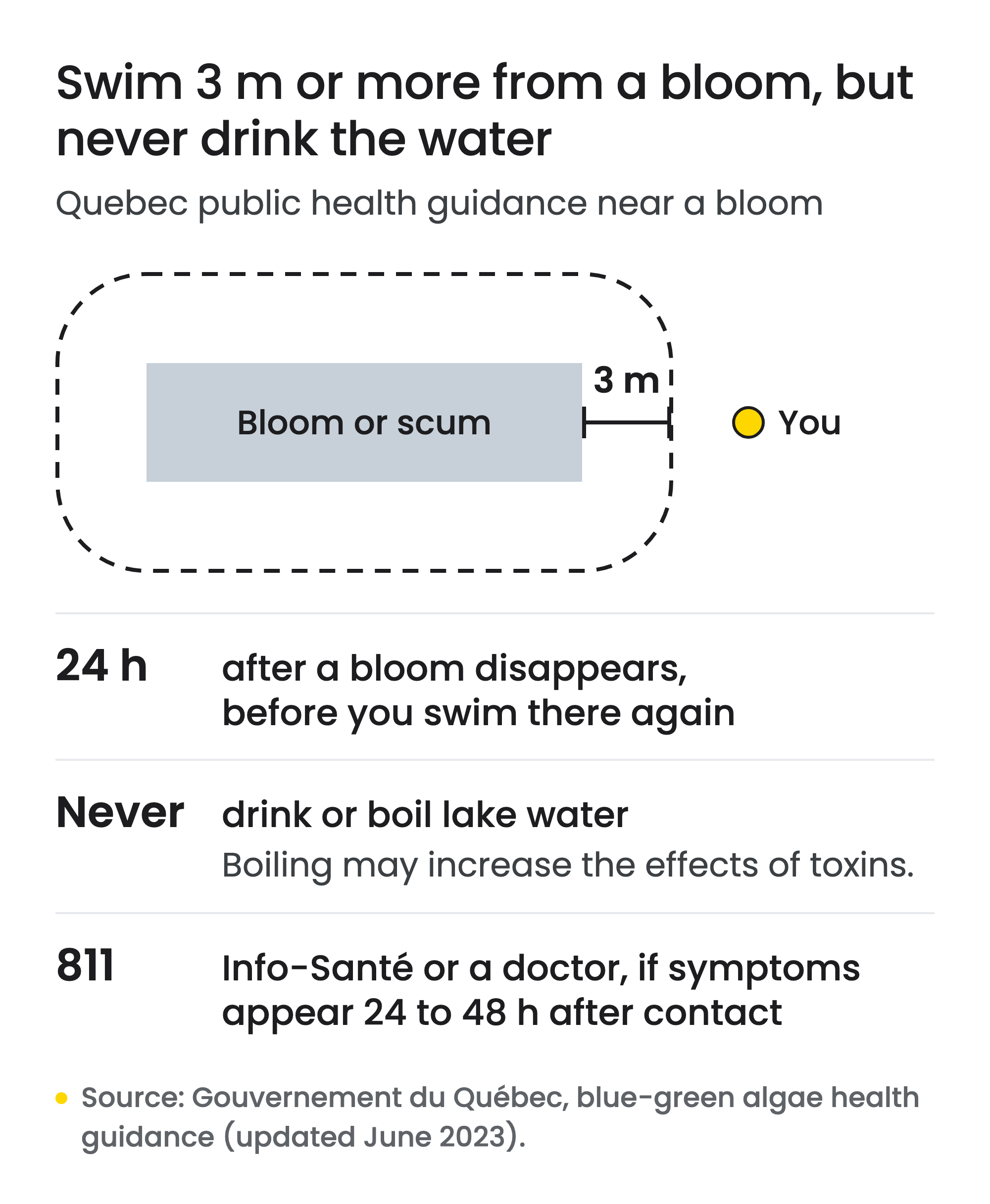 Diagram of Quebec guidance near a blue-green algae bloom: a dashed line 3 m from the bloom's edge, with a dot marked You outside it, shows where to swim. Below: wait 24 h after a bloom disappears before swimming there; never drink or boil lake water, as boiling may increase the effects of toxins; call Info-Santé 811 or a doctor if symptoms appear 24 to 48 h after contact.