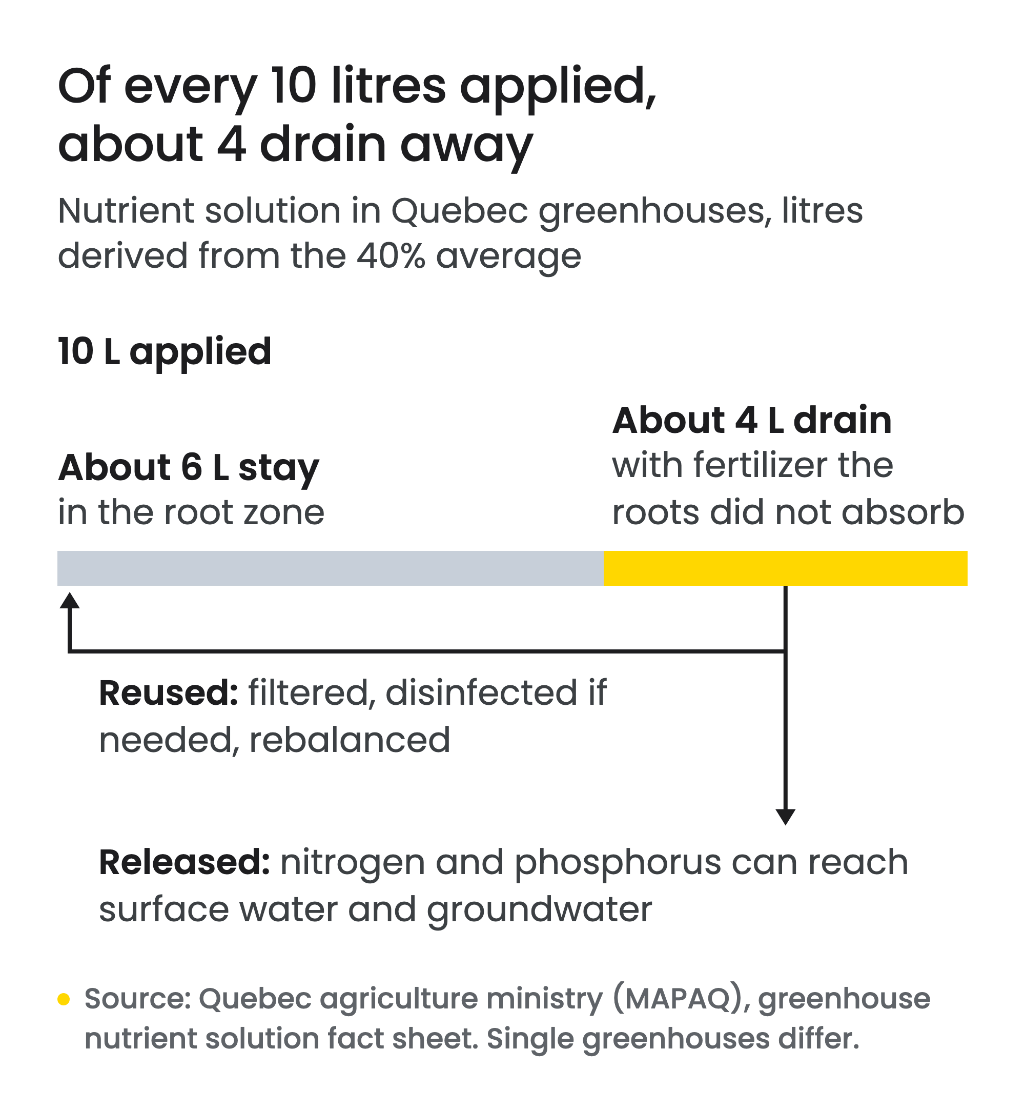 Stacked bar: of 10 litres of nutrient solution applied in a Quebec greenhouse, about 6 litres stay in the root zone and about 4 litres drain away with fertilizer the roots did not absorb, derived from the 40% average. The drain water is either reused after it is filtered, disinfected if needed and rebalanced, or released, where its nitrogen and phosphorus can reach surface water and groundwater.