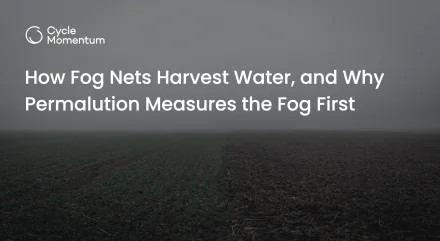 How Fog Nets Harvest Water, and Why Permalution Measures the Fog First