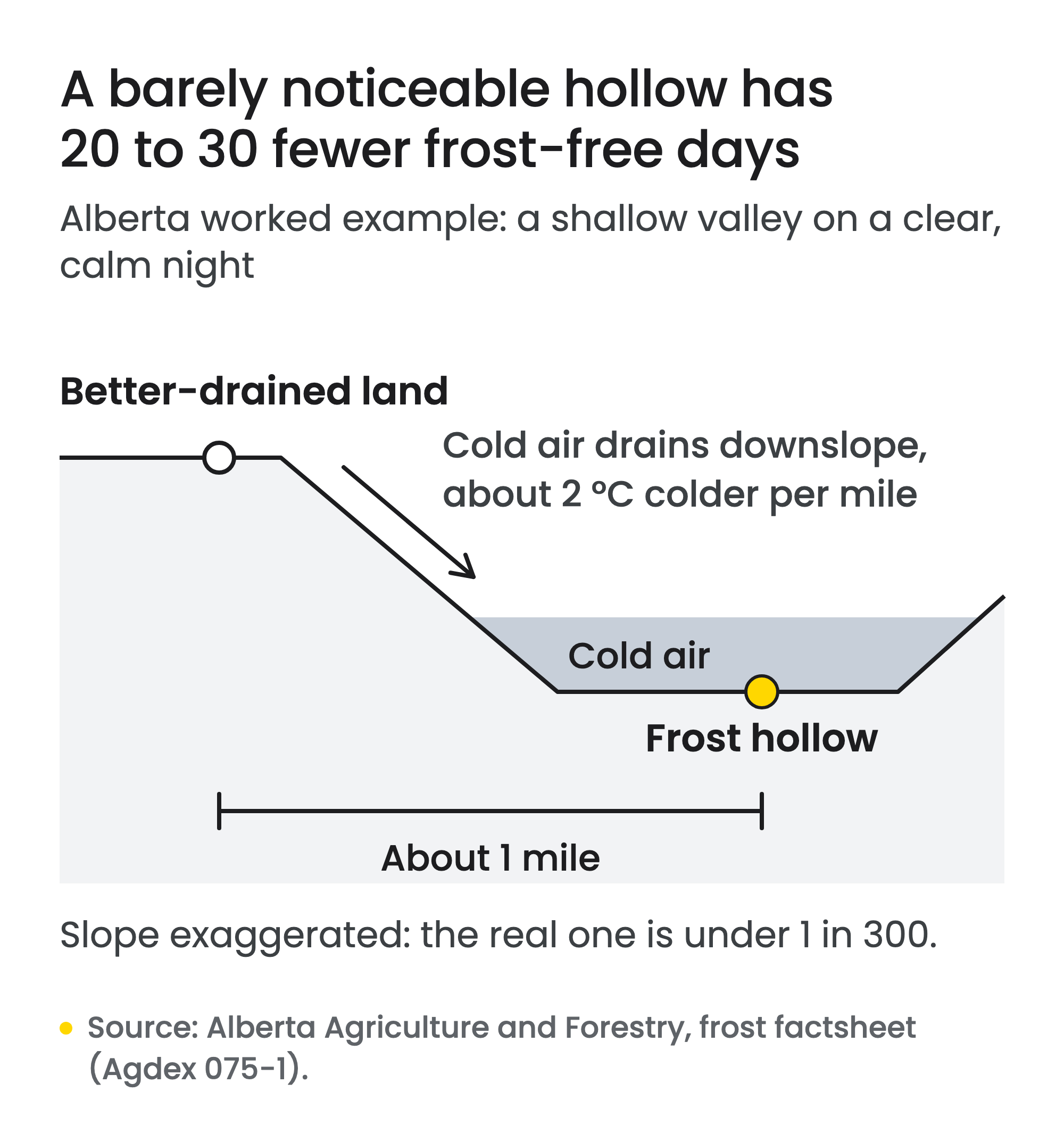 Cross-section of a shallow valley on a clear, calm night, from an Alberta worked example: cold air drains downslope from better-drained land, about 2 °C colder per mile, and pools in a frost hollow about 1 mile away, which has 20 to 30 fewer frost-free days. The slope is exaggerated in the drawing; the real one is under 1 in 300.