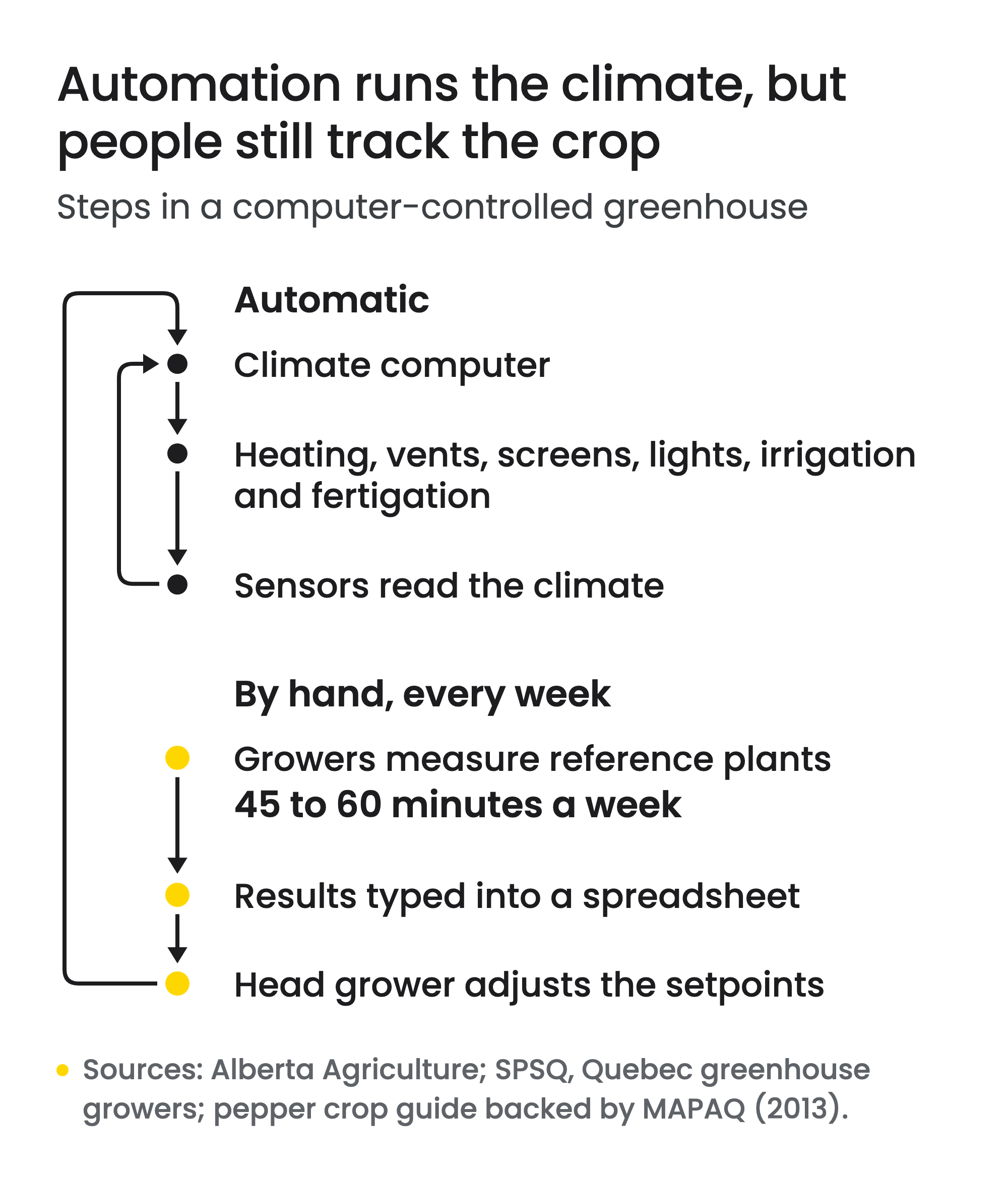 Flow diagram of two loops in a computer-controlled greenhouse. Automatic: sensors read the climate and the climate computer runs heating, vents, screens, lights, irrigation and fertigation, then the loop repeats. By hand, every week: growers measure reference plants, which takes 45 to 60 minutes a week, type the results into a spreadsheet, and the head grower adjusts the setpoints the climate computer follows.