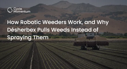 How Robotic Weeders Work, and Why Désherbex Pulls Weeds Instead of Spraying Them