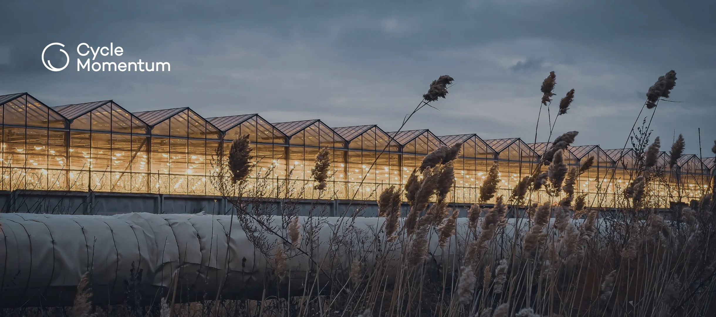 Long commercial glass greenhouse glowing with grow lights at dusk on a cold evening