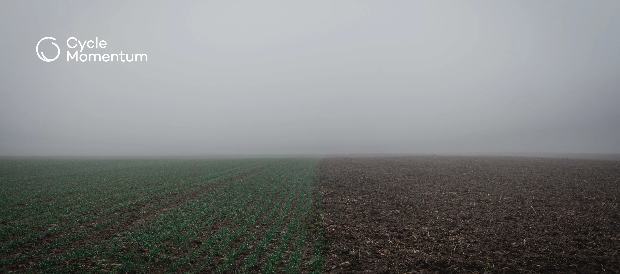 Dense fog over a farm field with crop rows and tilled soil